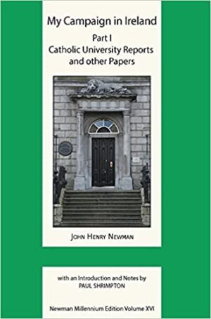 My Campaign in Ireland, Volume I