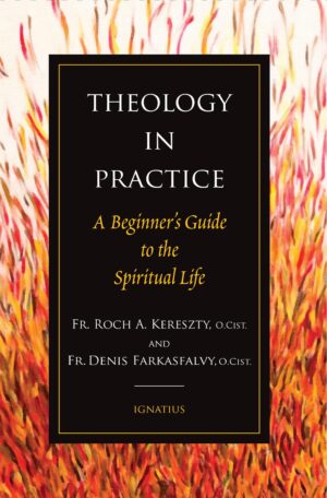Theology in Practice: A Beginner’s Guide to the Spiritual Life