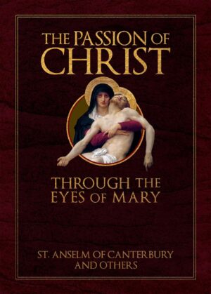The Passion of Christ:  Through the Eyes of Mary