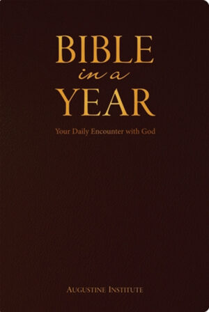 Bible In a Year: Your Daily Encounter with God (Revised Standard Version) Leather edition