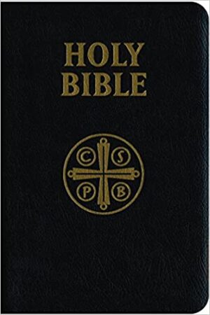 Douay-Rheims Bible - Leather