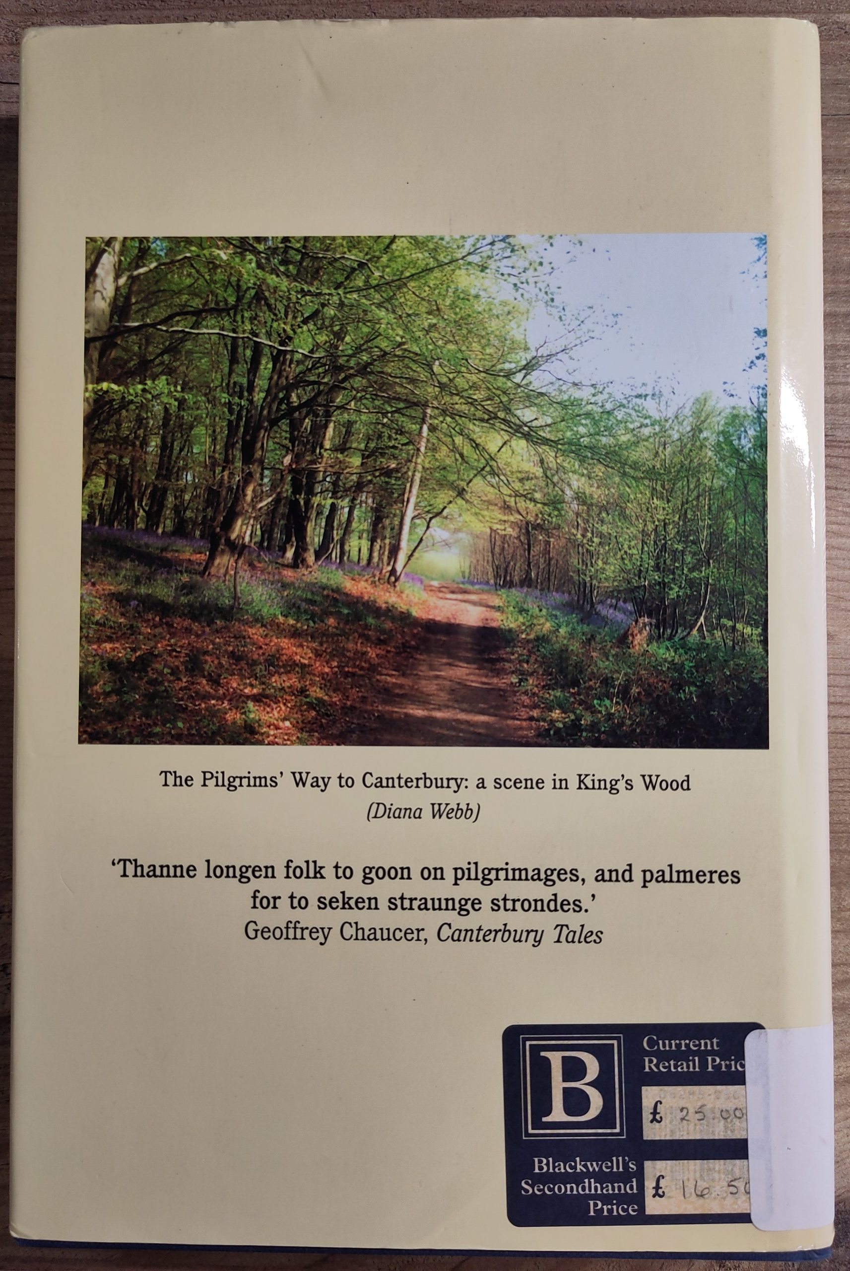 Pilgrimage in Medieval England (used book) - Image 2