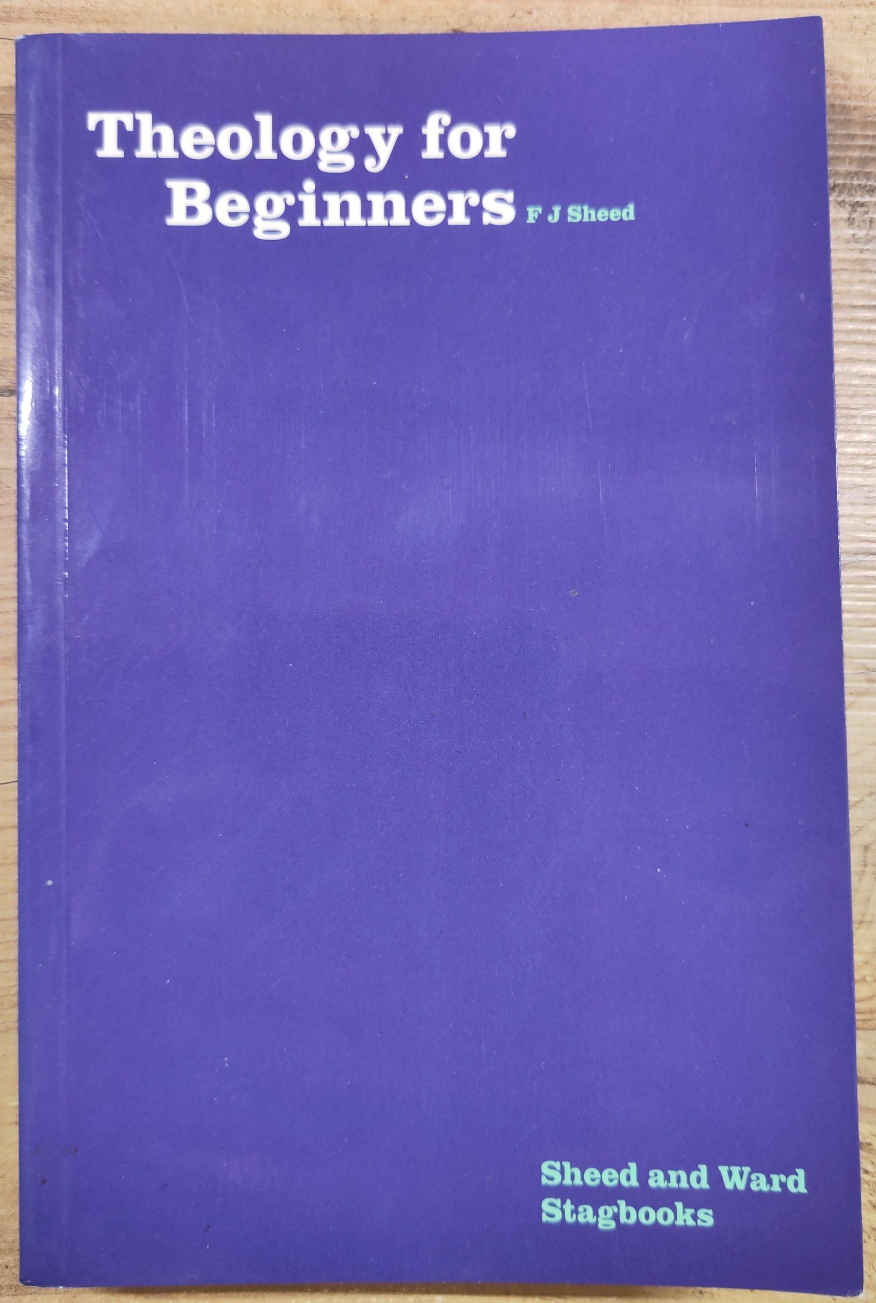 Theology for Beginners (used book)