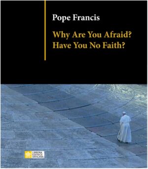 Why Are You Afraid?  Have You No Faith?